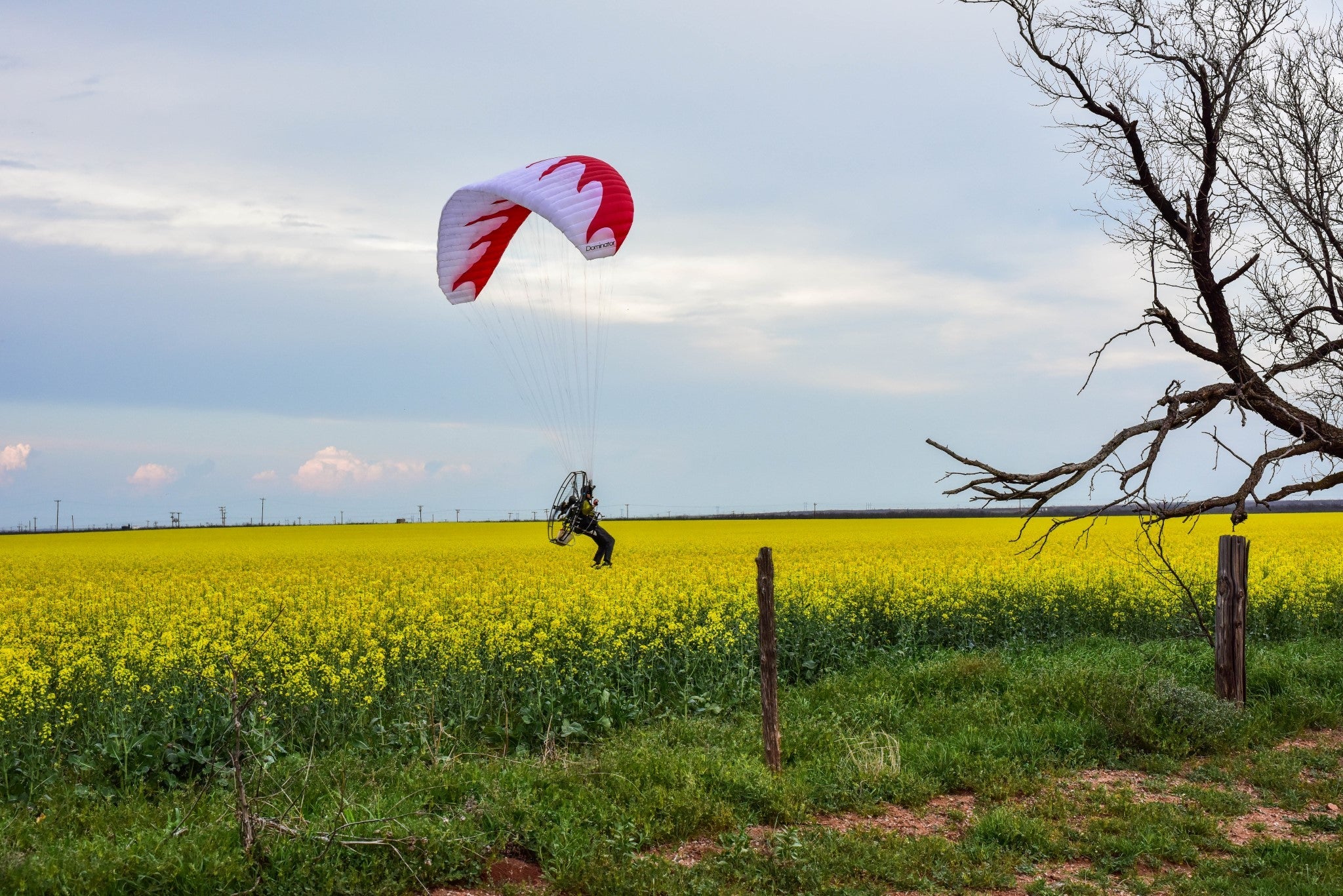 Dominator Paraglider (AFNOR Standard/EN-A Comparable)