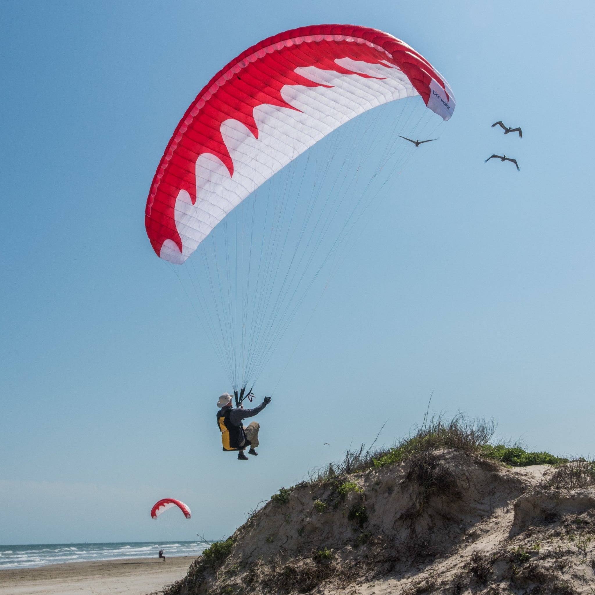 Dominator Paraglider (AFNOR Standard/EN-A Comparable)