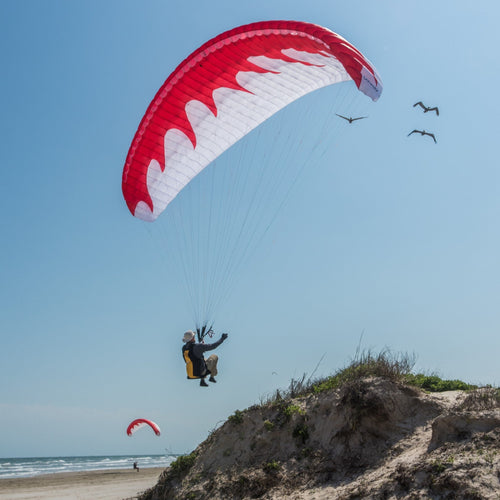 Dominator Paraglider (AFNOR Standard/EN-A Comparable)