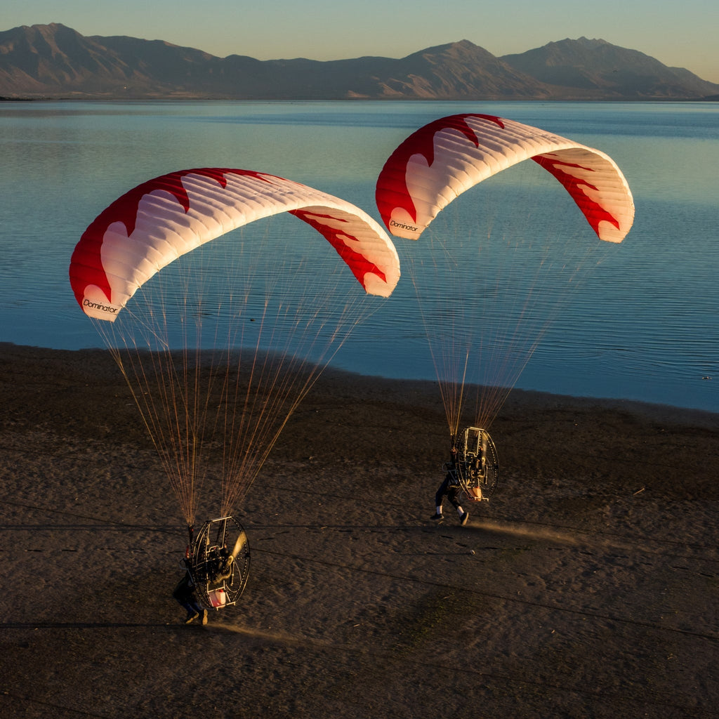 Dominator Paraglider (AFNOR Standard/EN-A Comparable)