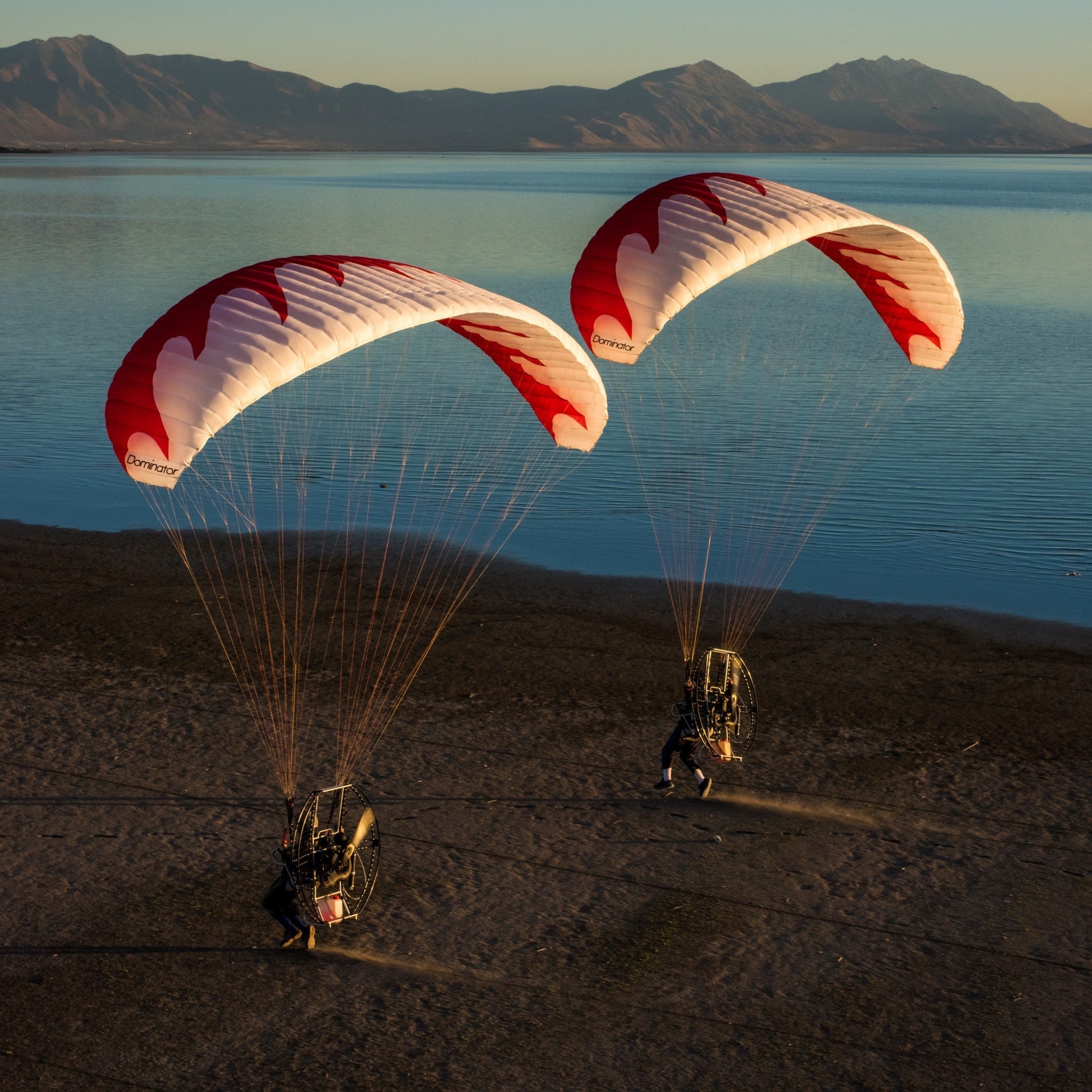 Dominator Paraglider (AFNOR Standard/EN-A Comparable)