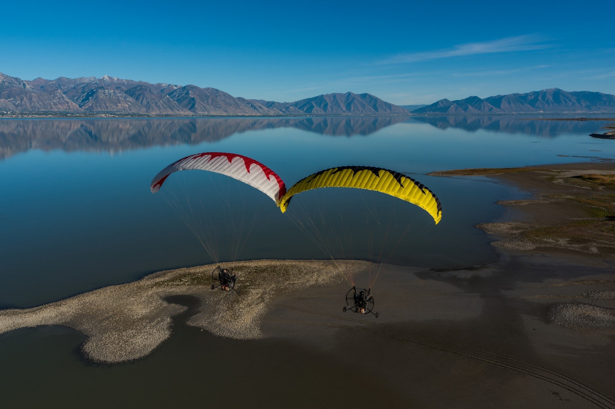 Dominator Paraglider (AFNOR Standard/EN-A Comparable)