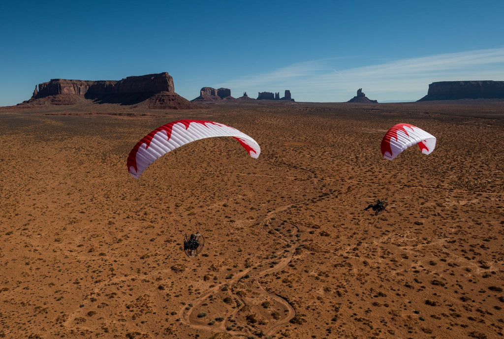 Dominator Paraglider (AFNOR Standard/EN-A Comparable)