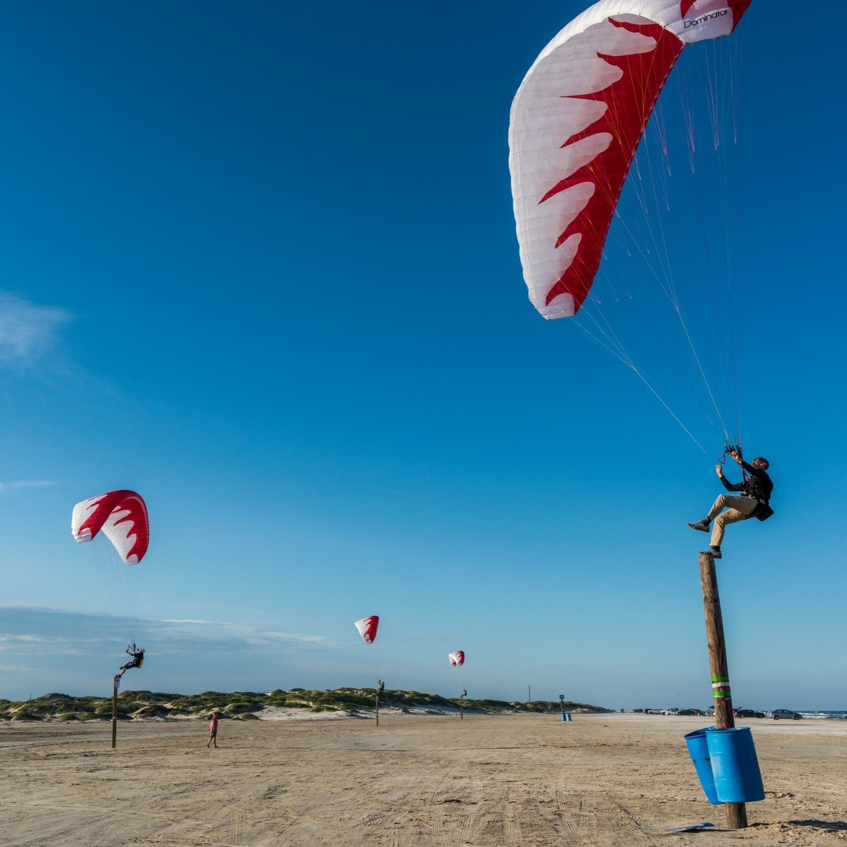 Dominator Paraglider (AFNOR Standard/EN-A Comparable)