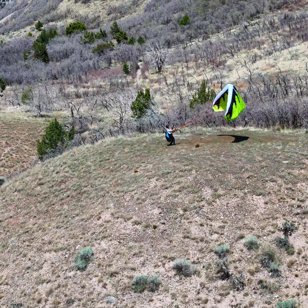 Dominator 2 - Beginner Paragliding/PPG Wing (A)