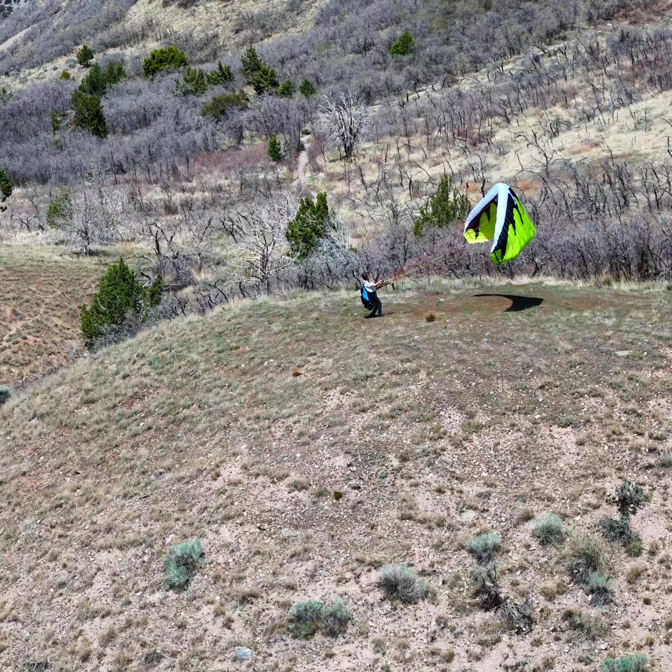 Dominator 2 - Beginner Paragliding/PPG Wing (A)